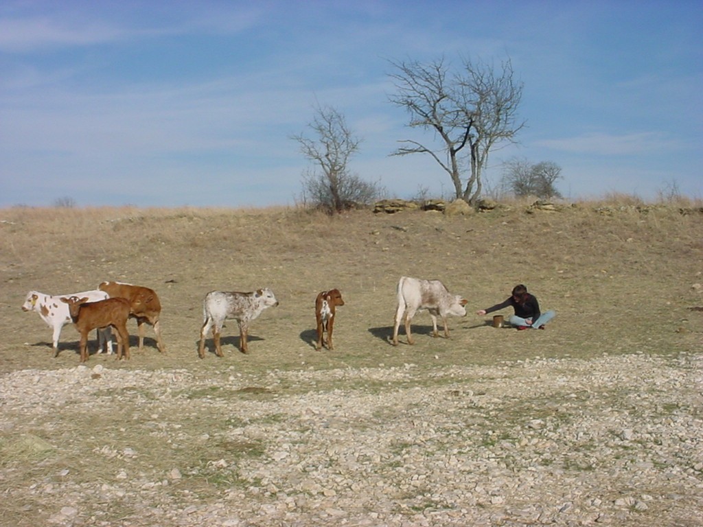 Jordan Ranch