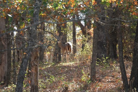 Jordan Ranch